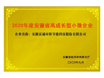 安徽省高成长型小微企业